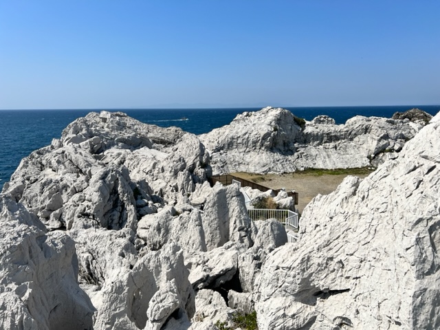 やっぱりディーゼルは低燃費！