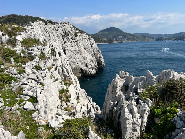 やっぱりディーゼルは低燃費！