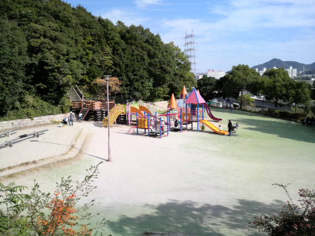 ✿コスモス✿