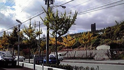 身近な秋の風景