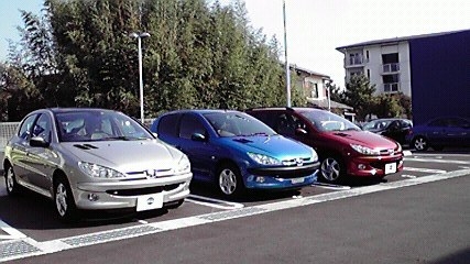 ２０６ウインターキャンペーン