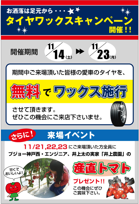 ピカピカ・キャンペーン！