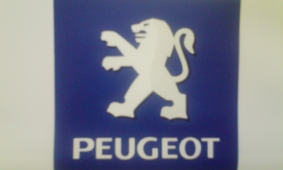 The New Lion !