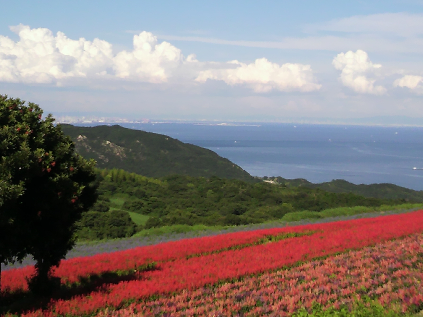 淡路島