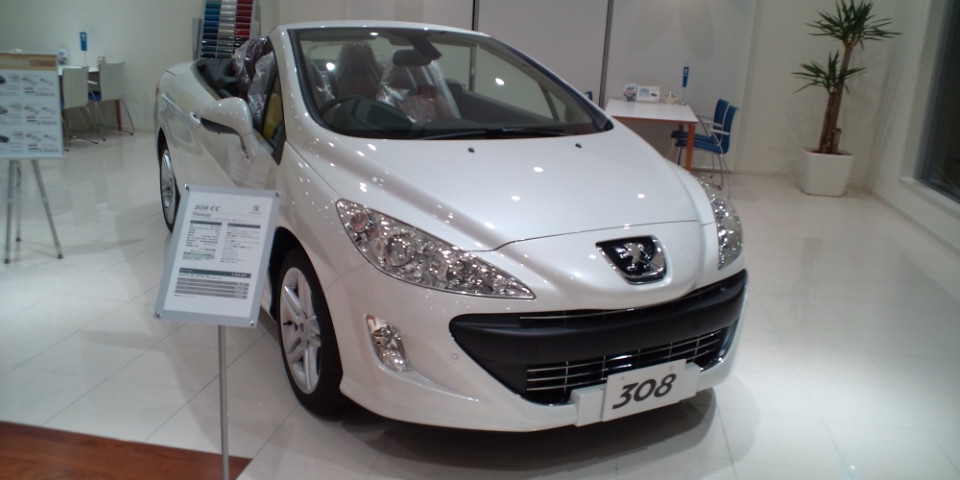 久しぶりの登場！