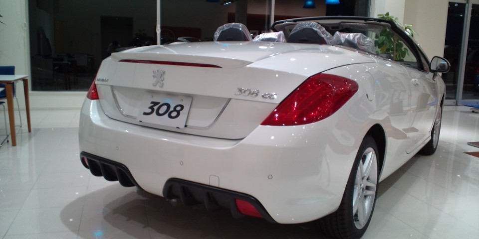 久しぶりの登場！