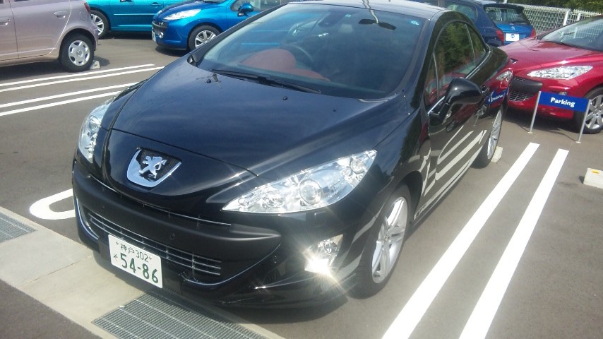 東灘ショールーム　テストドライブキャンペーン