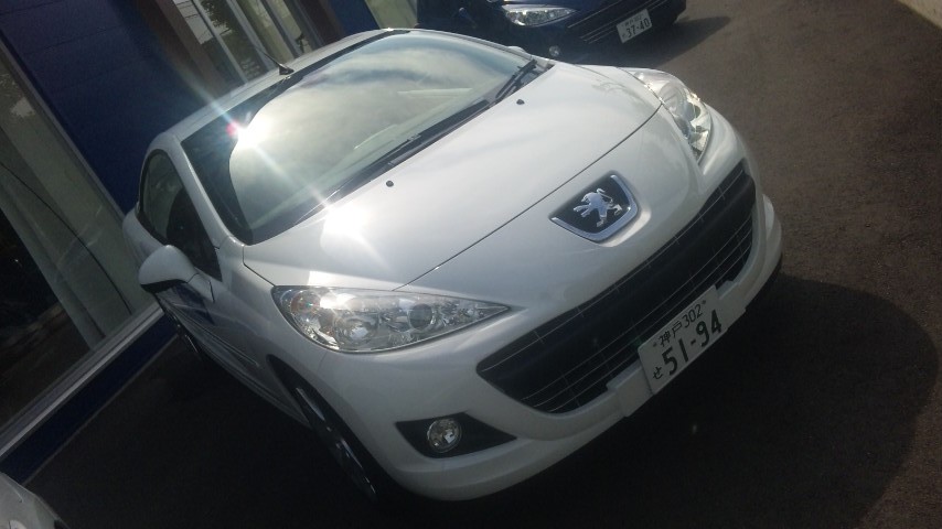 東灘ショールーム　テストドライブキャンペーン