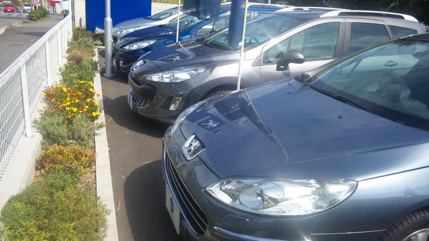 認定中古車ご案内。