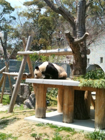 動物園へ行ってきました。