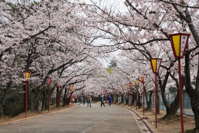 加古川