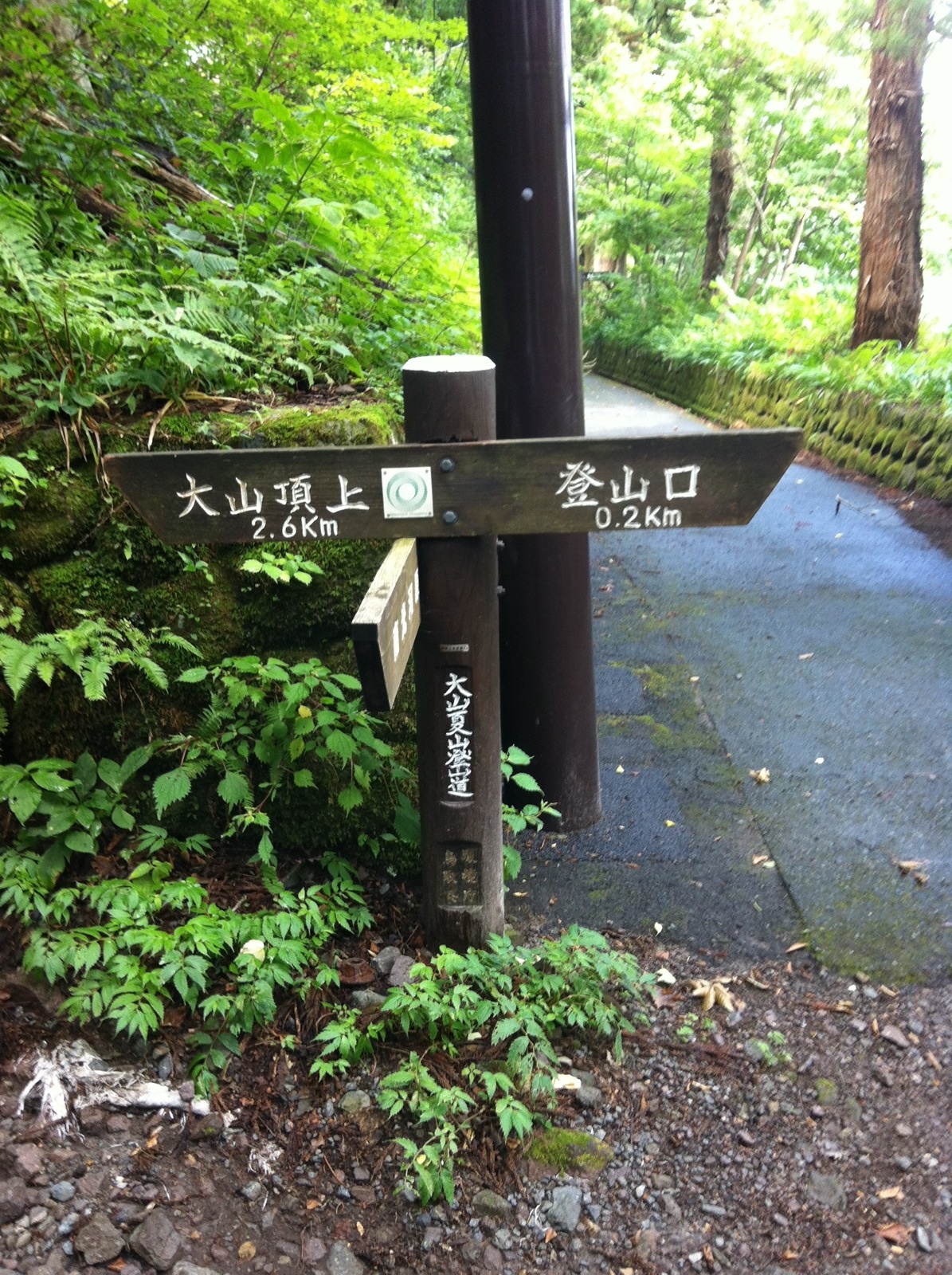 ◆夏山登山◆