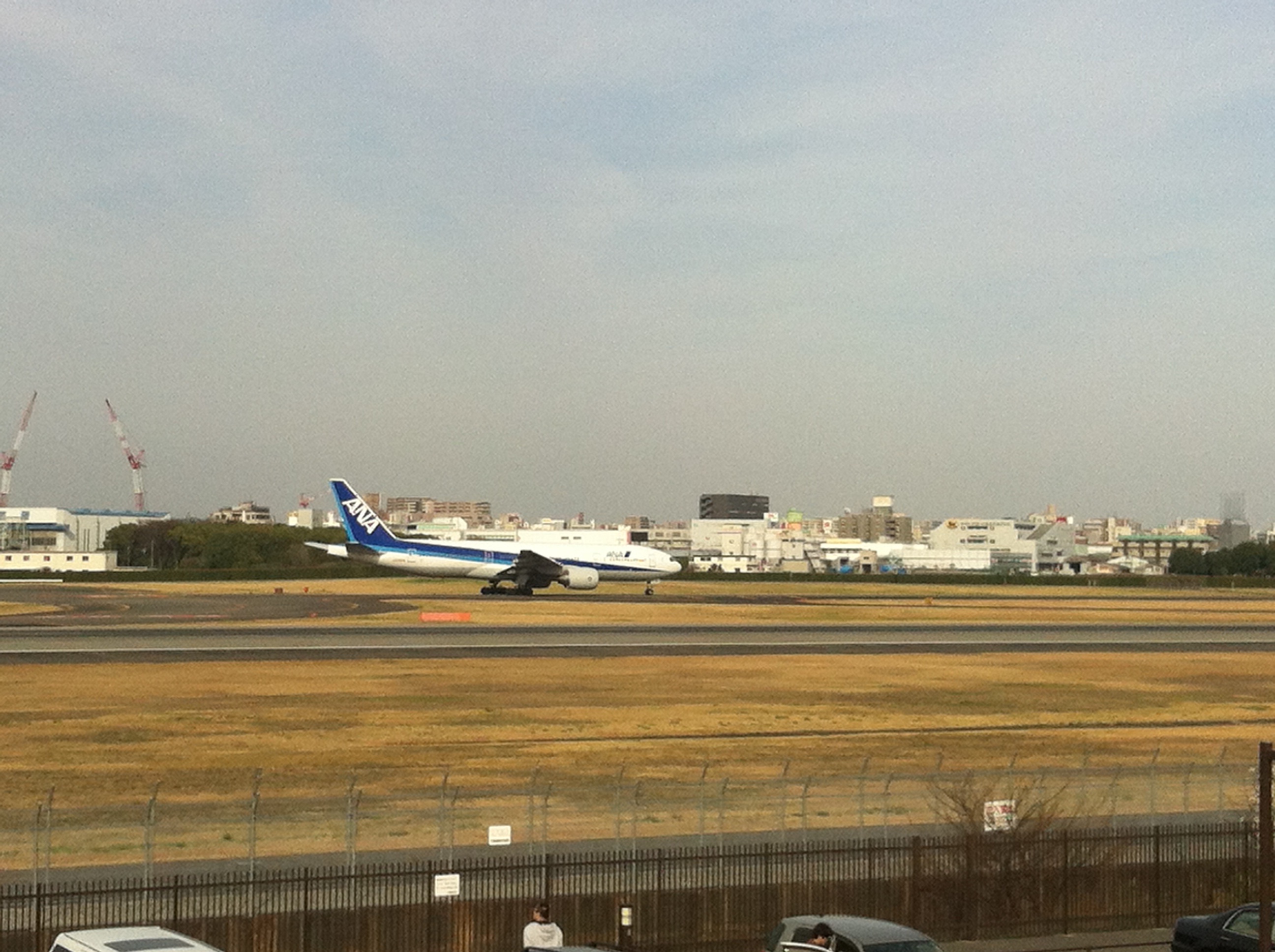 飛行機を見て来ました