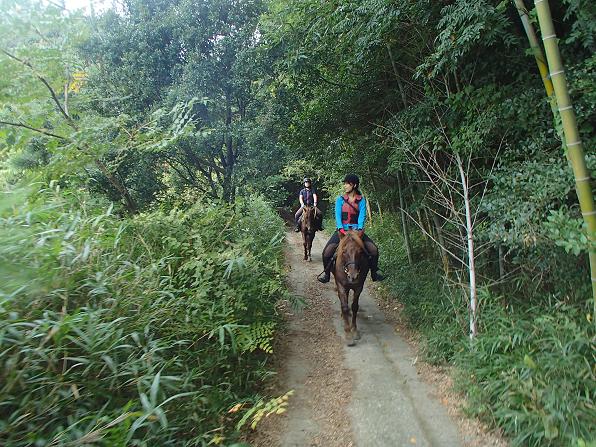 淡路で馬！