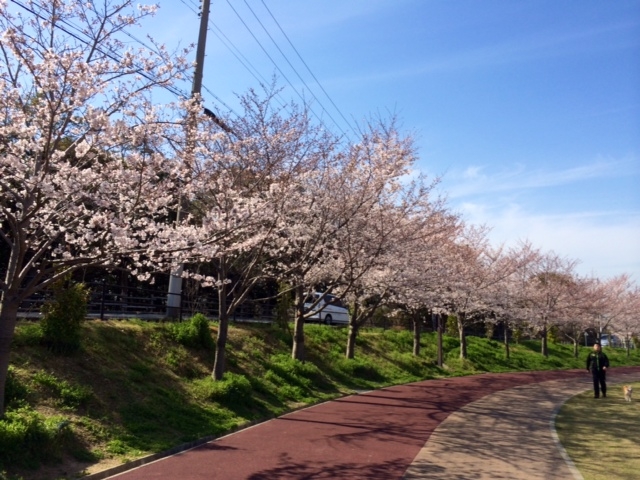 今が旬です！