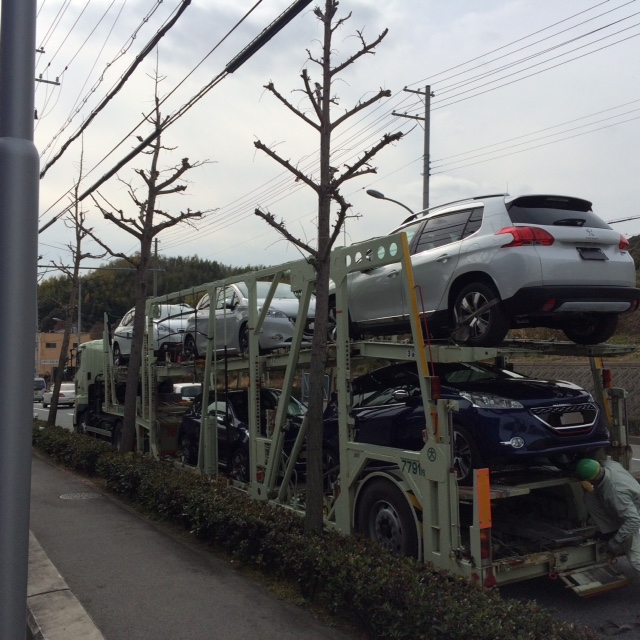 NEW試乗車まもなく登場！