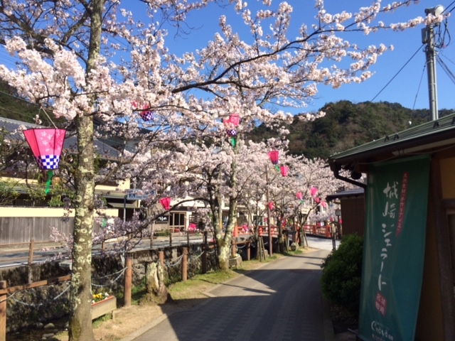 お花見