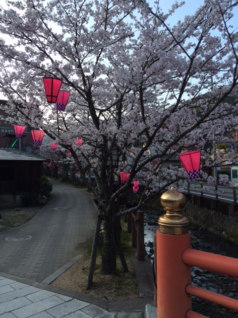 お花見