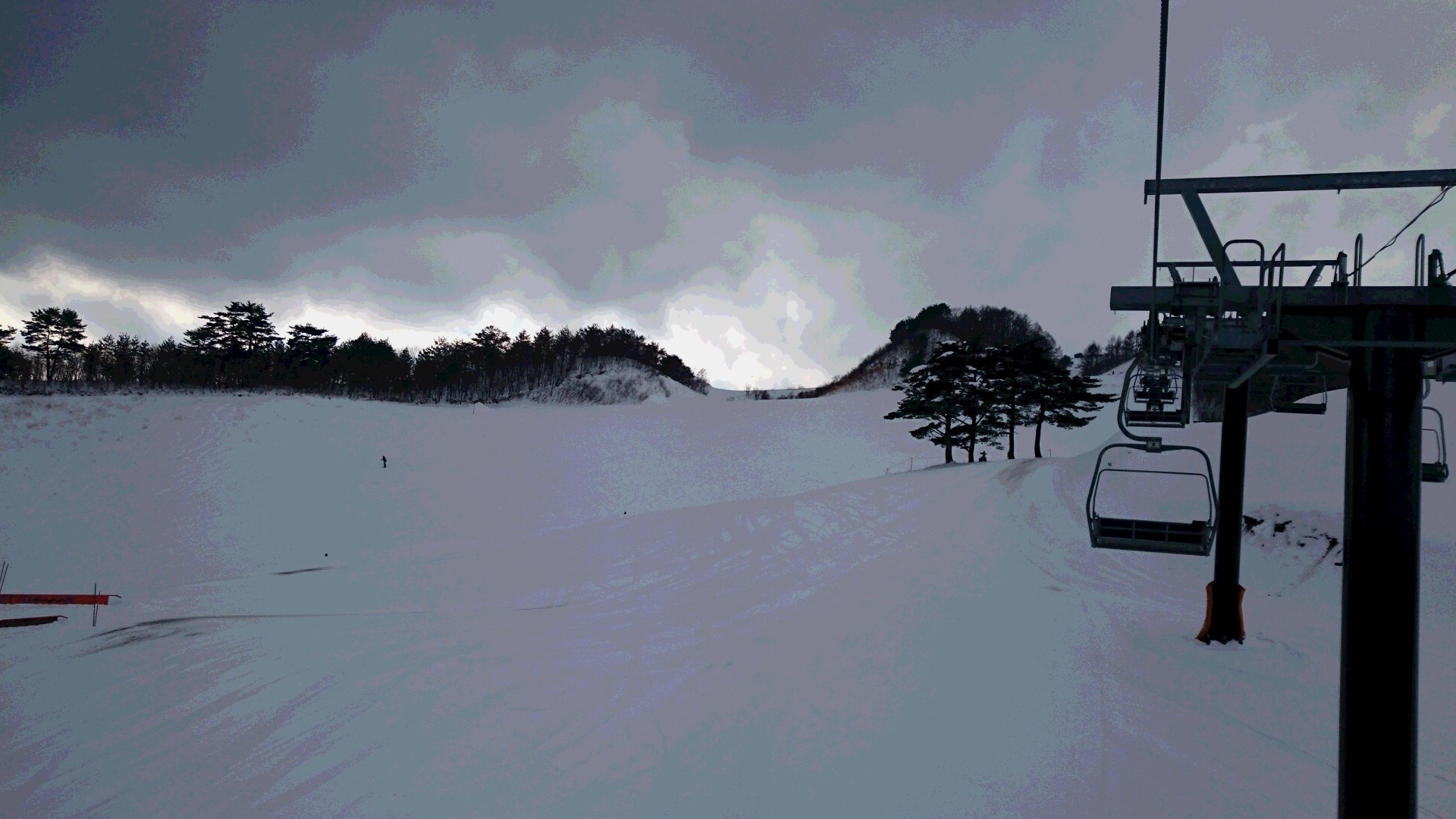 今年初の雪