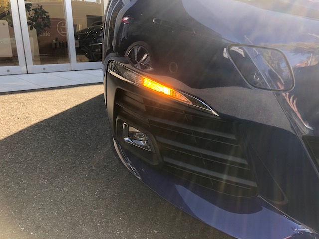 NEW308もご覧になりましたか？