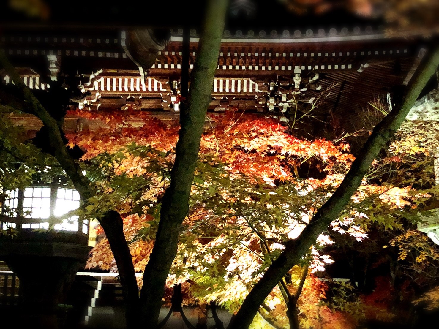 紅葉