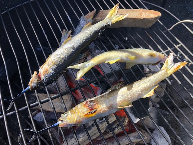 毎年恒例の