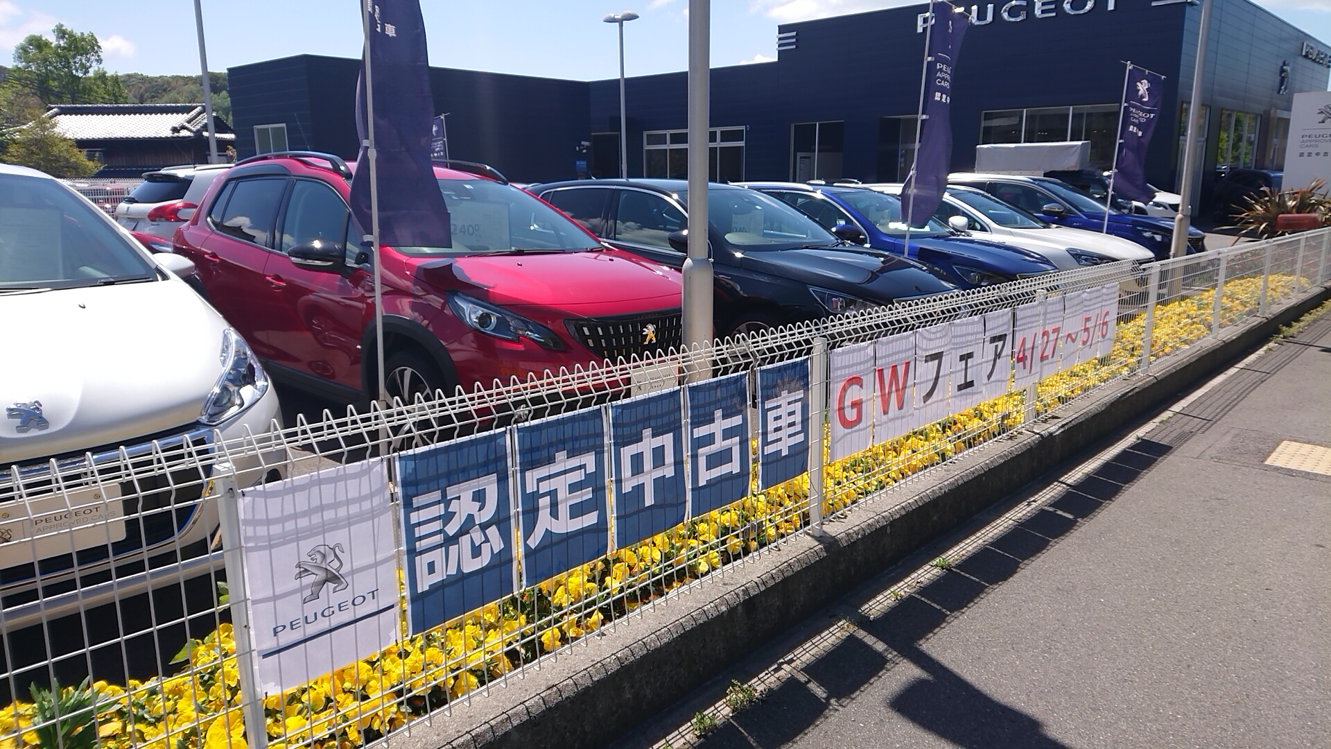 認定中古車フェア開催！