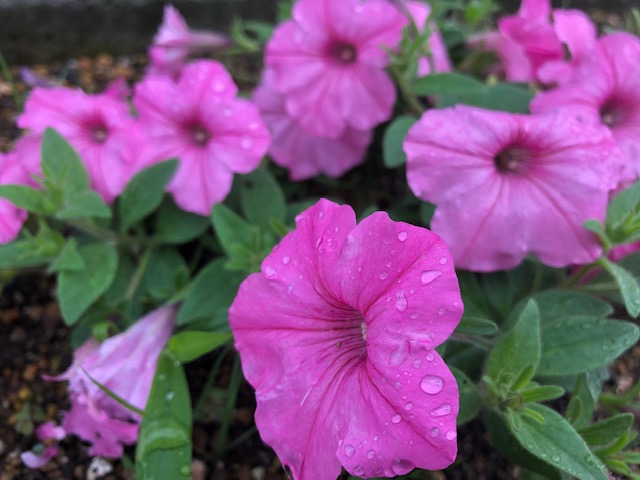 雨への備え