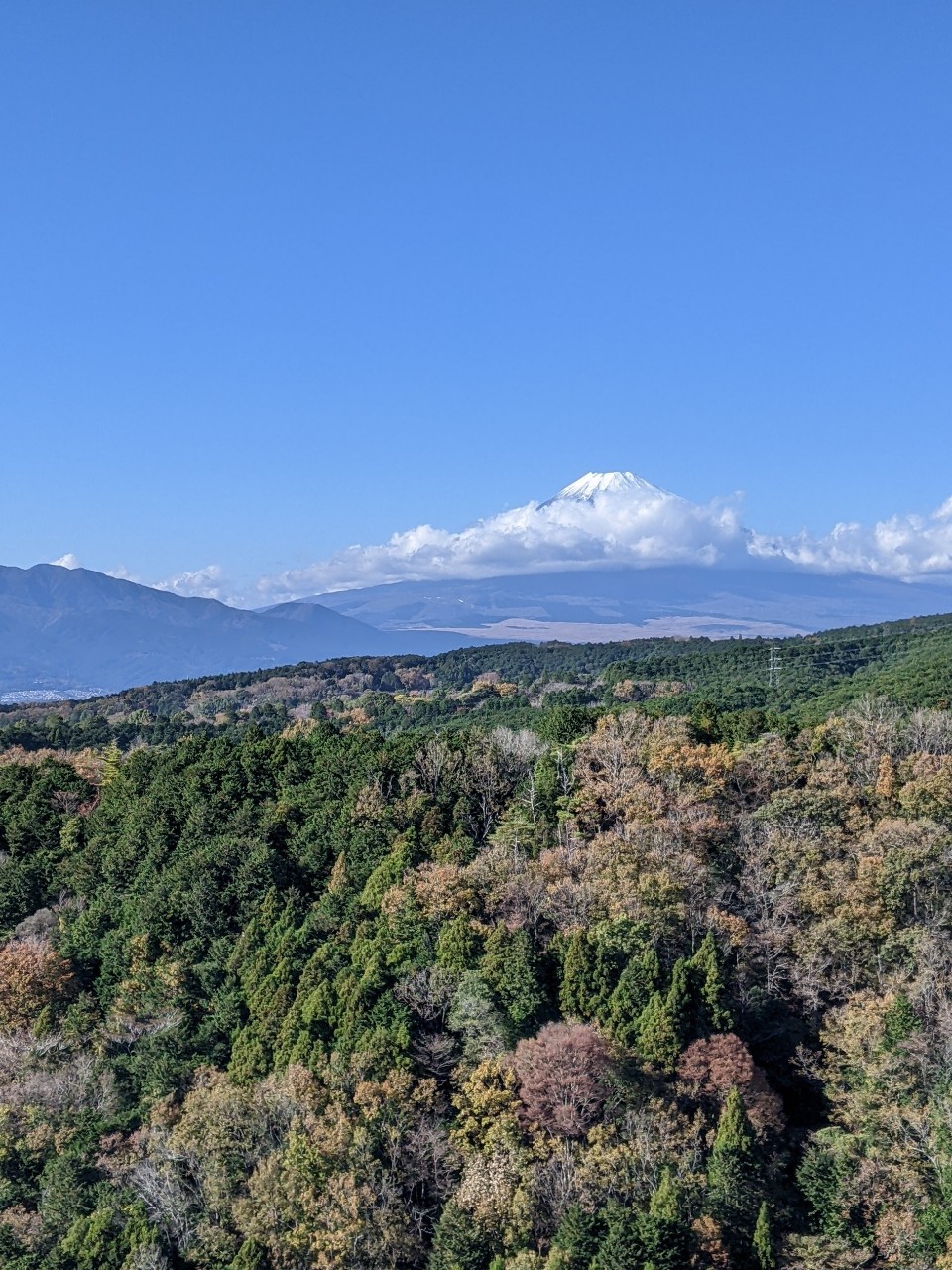 ☆三島スカイウォーク☆