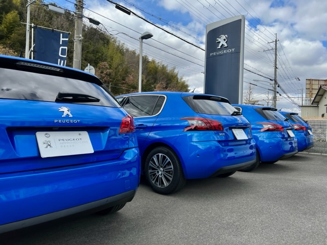 VERTIGO BLUE
