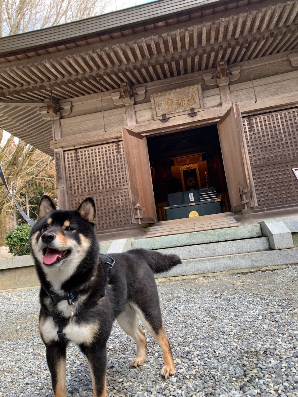 山寺