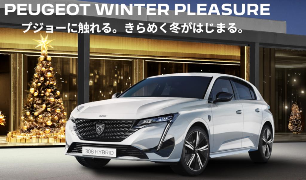 PEUGEOT  WINTER  PLEASURE