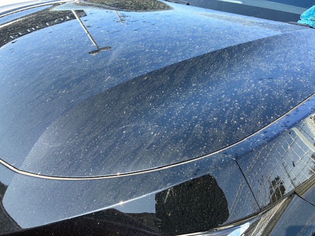 この時期ご注意ください！