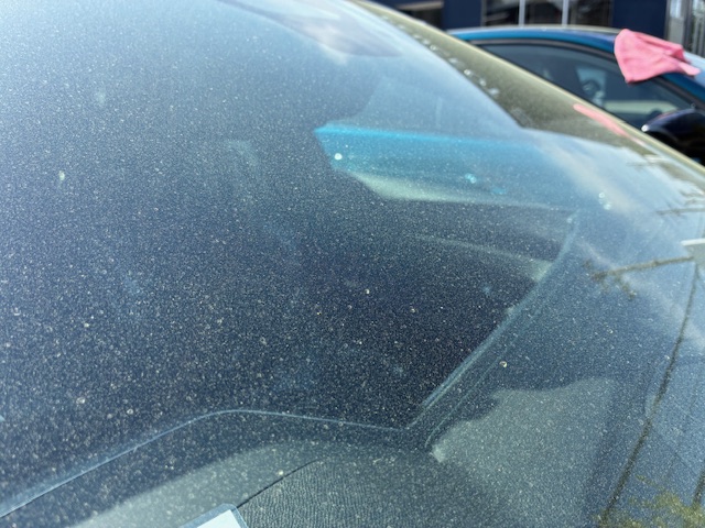 この時期ご注意ください！