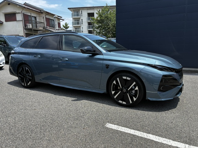 NEW308SW