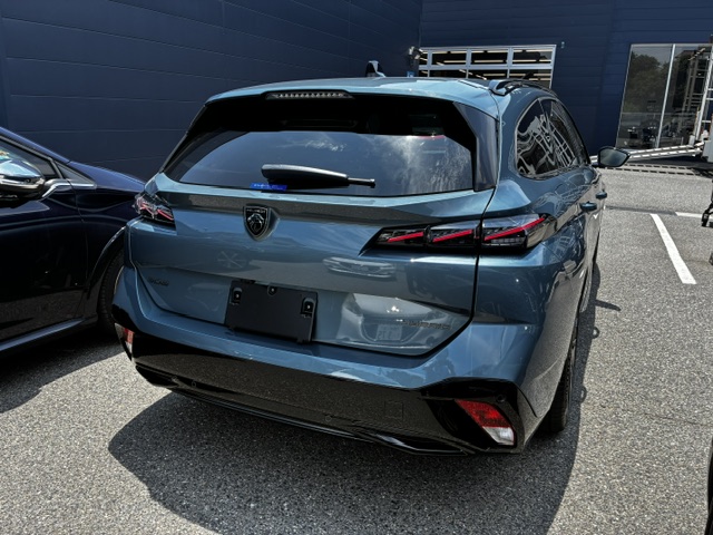 NEW308SW