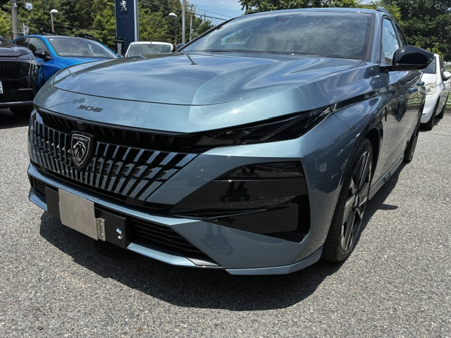 NEW308SW