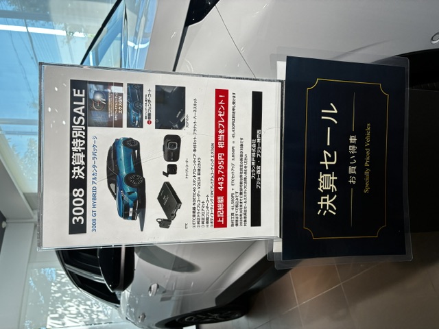 3008決算特別サポート実施してます